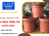 Lâm Gia Phát nhận gia công sản xuất chậu nhựa trồng cây chuyên nghiệp tại TP.HCM