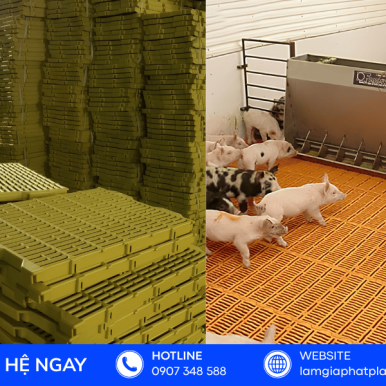 Xưởng Sản Xuất & Gia Công Vỉ Nhựa Lót Sàn Chăn Nuôi, Nông Nghiệp TPHCM
